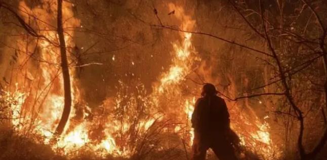 明火已撲滅，初步判斷由祭祀用火引發(fā)！今年已發(fā)生多起