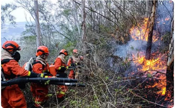 云南玉溪森林發生明火,現已經撲滅